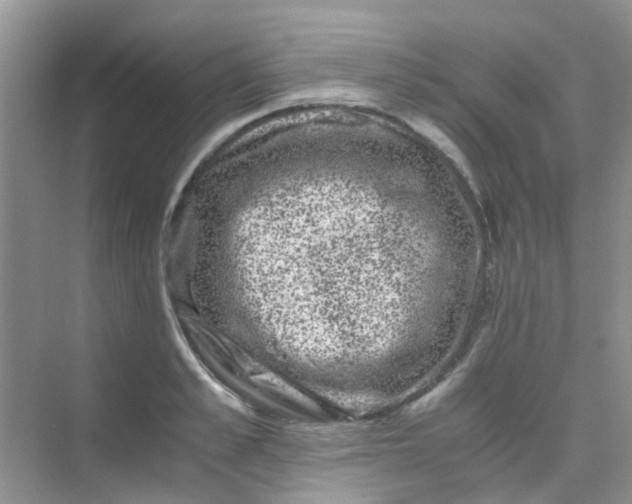 X0000075920989200609291820