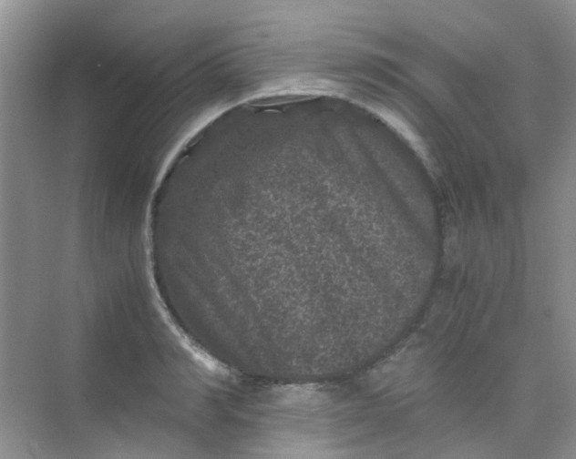 X0000075920990200609291820