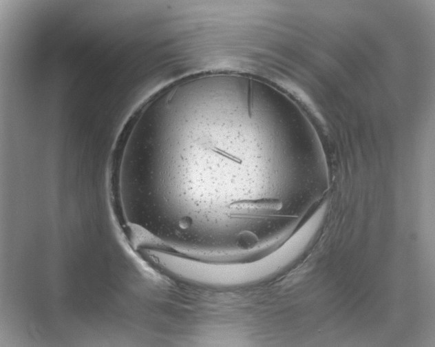 X0000075920991200609291820