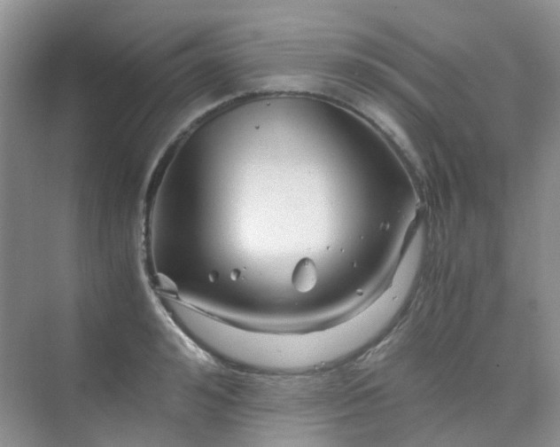 X0000075920992200609291820