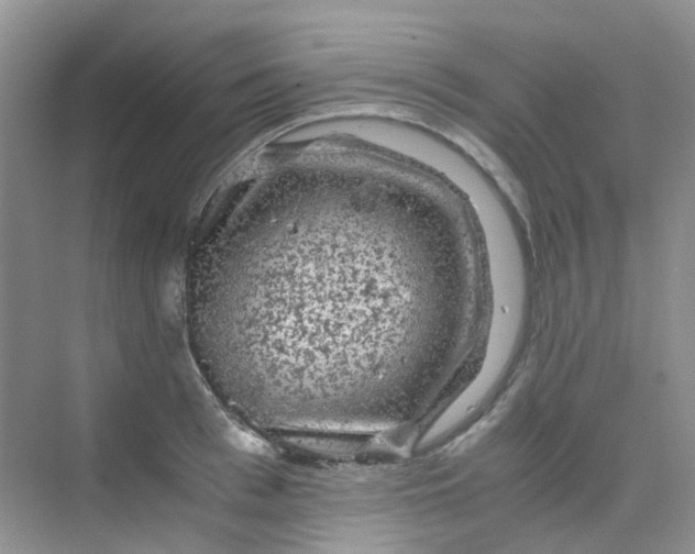 X0000075920993200609291820