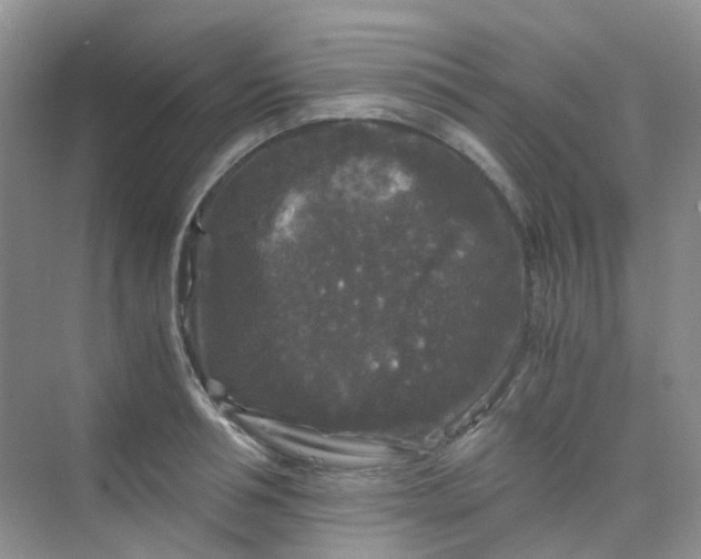 X0000075920994200609291820