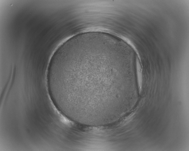 X0000075920995200609291820