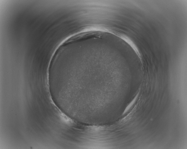 X0000075920996200609291820