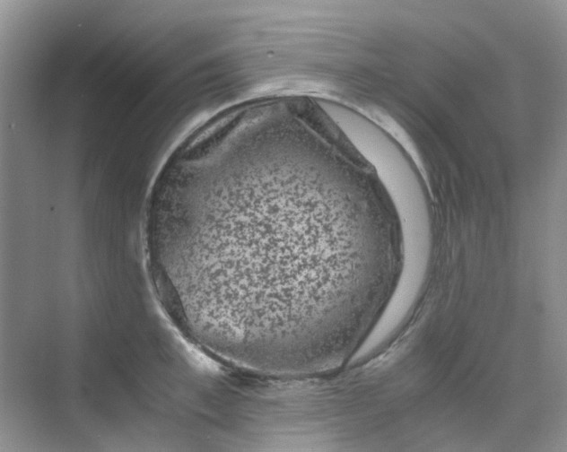 X0000075920997200609291820