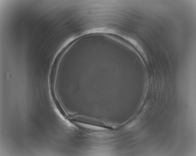 X0000075920998200609291820