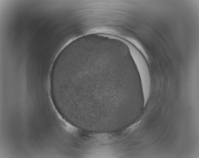 X0000075920999200609291820