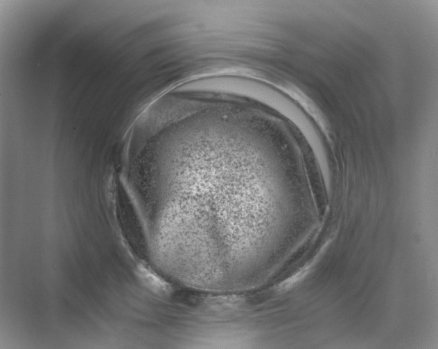 X0000075921001200609291819