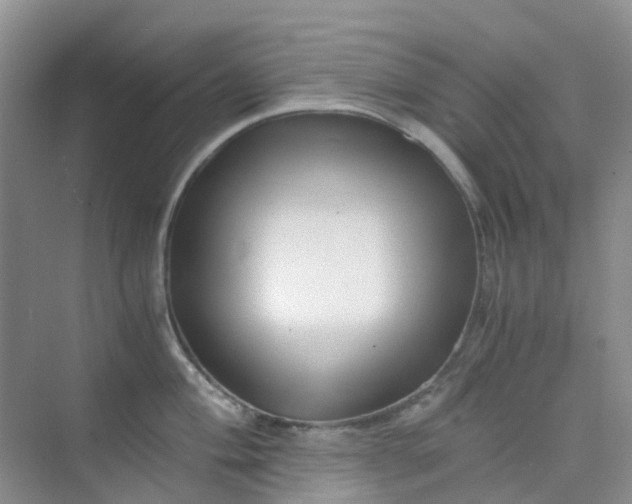 X0000075921004200609291819