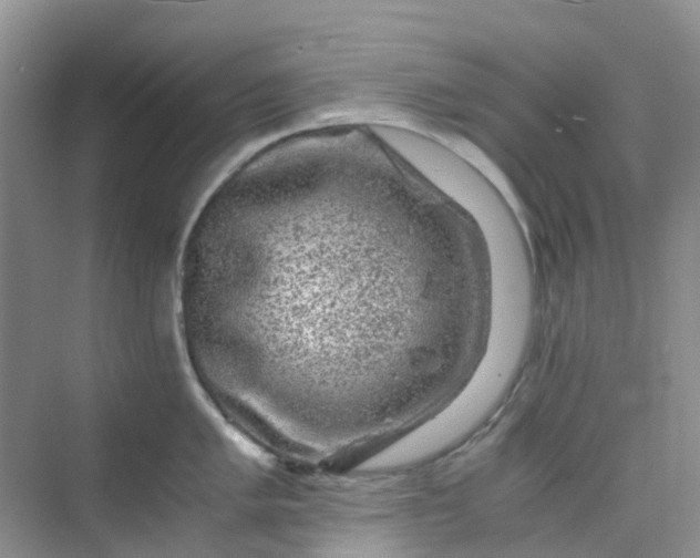 X0000075921005200609291819