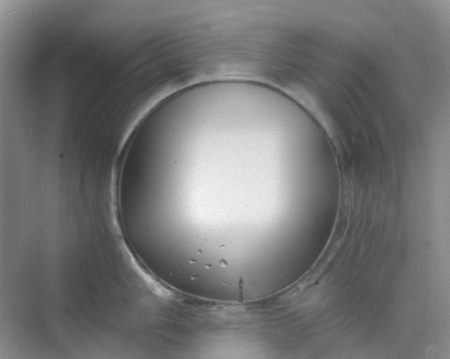 X0000075921006200609291819