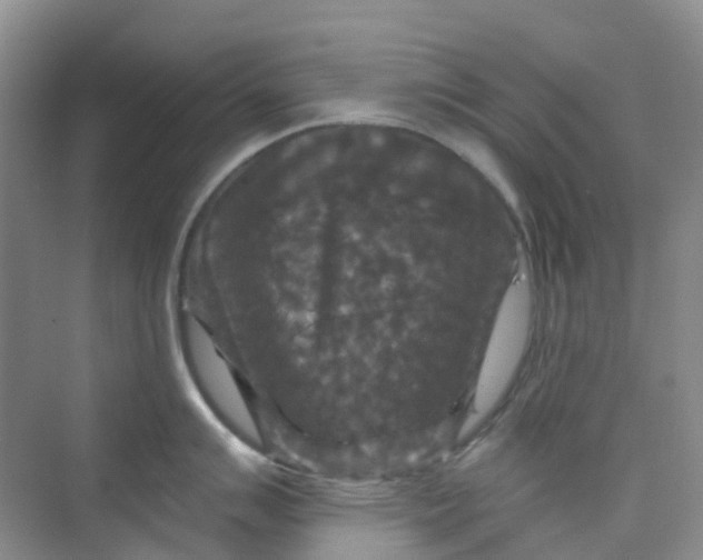 X0000075921007200609291819