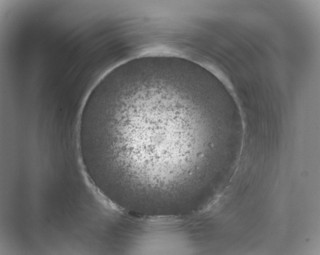 X0000075921008200609291819