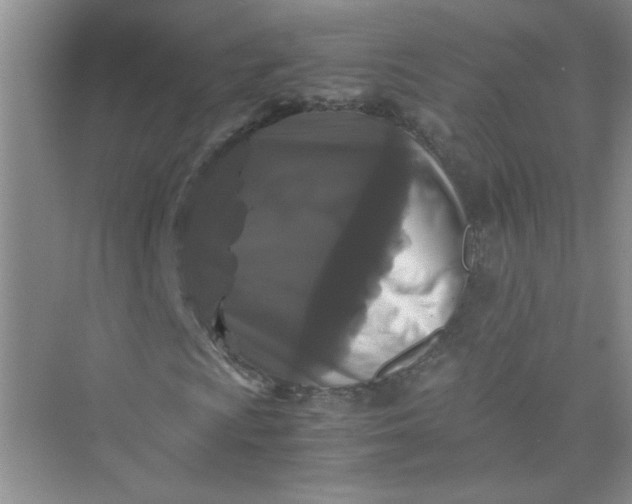 X0000075921009200609291819