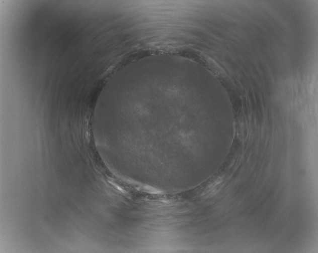 X0000075921010200609291819