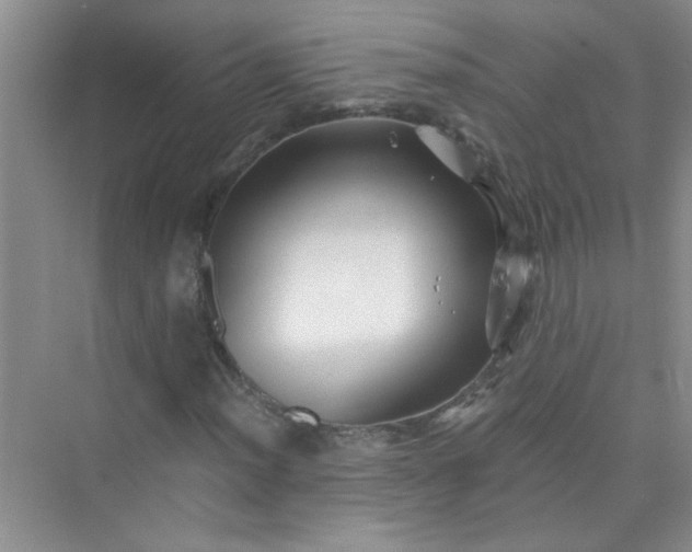 X0000075921012200609291819