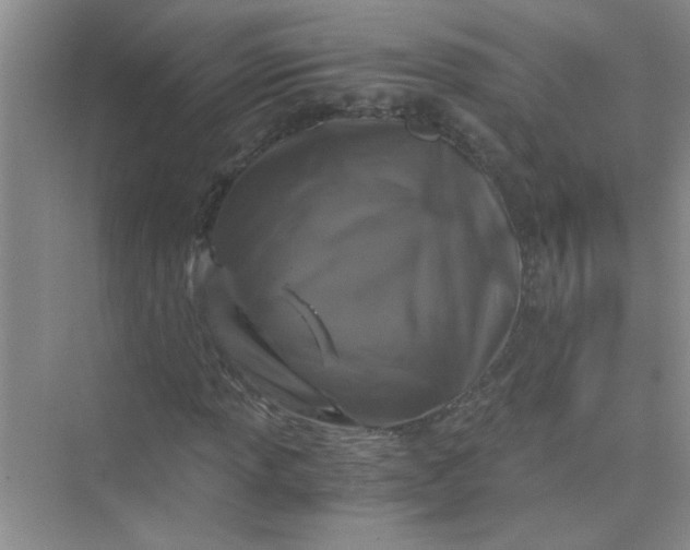 X0000075921013200609291819