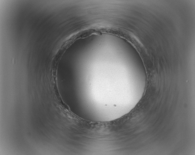 X0000075921016200609291819