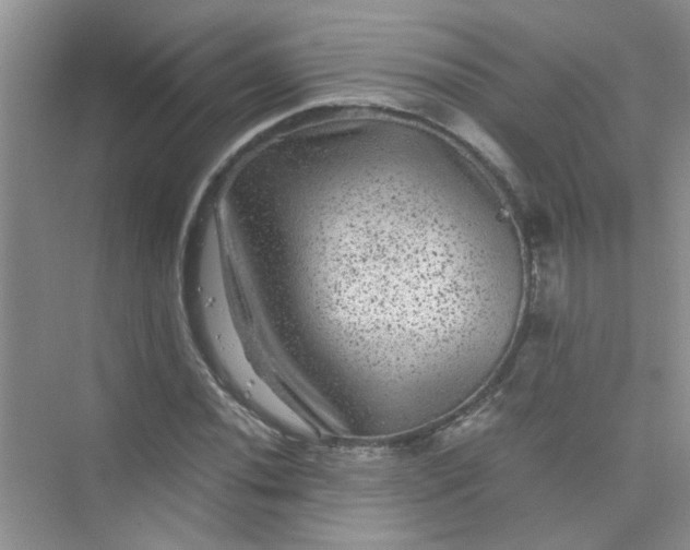 X0000075921020200609291819