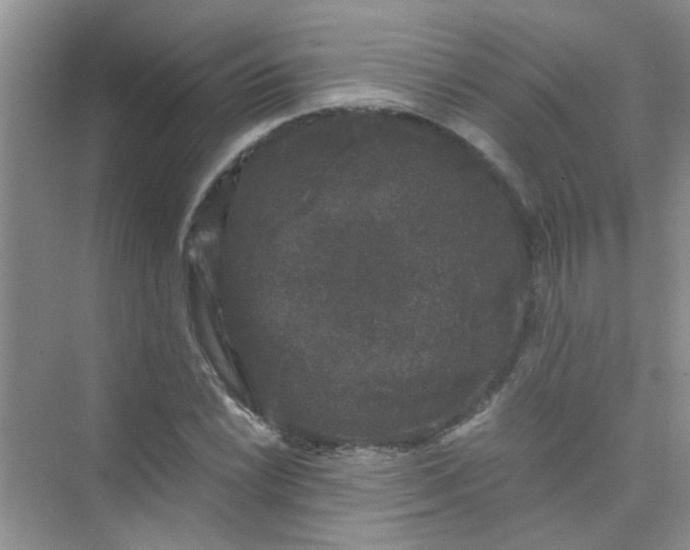 X0000075921022200609291819