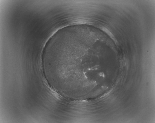 X0000075921023200609291819