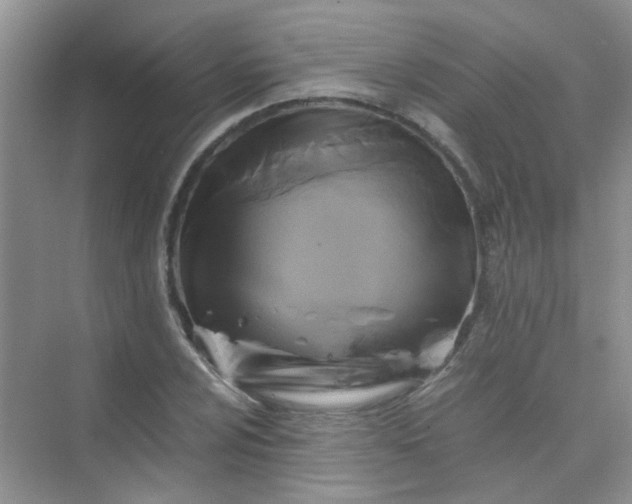 X0000075921024200609291819