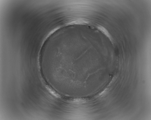 X0000075921026200609291819