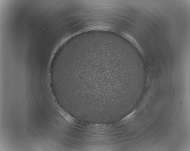 X0000075921027200609291819