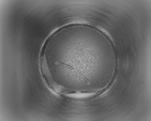 X0000075921029200609291819