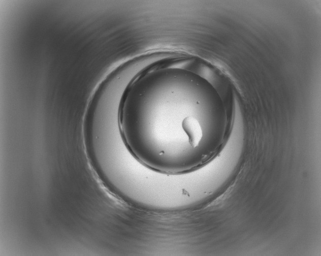 X0000075921030200609291819