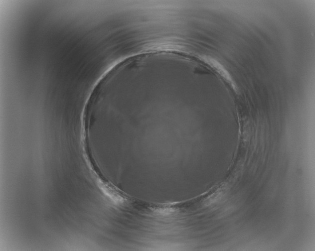 X0000075921031200609291819