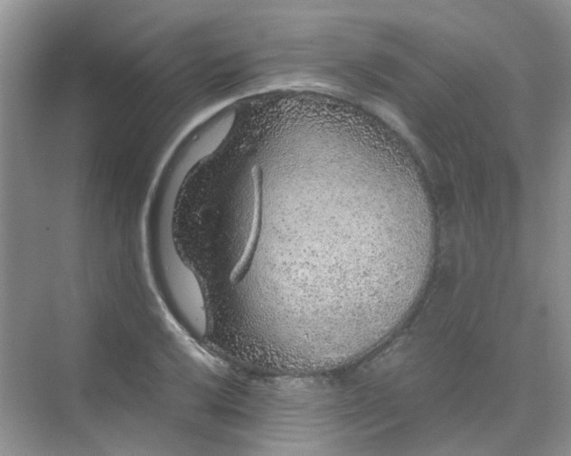 X0000075921032200609291819