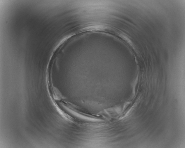 X0000075921034200609291819