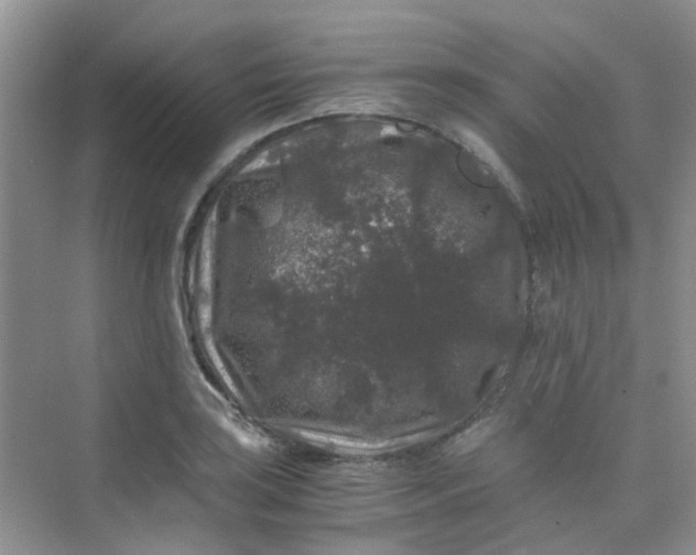 X0000075921035200609291819