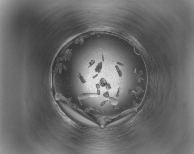 X0000075921036200609291819