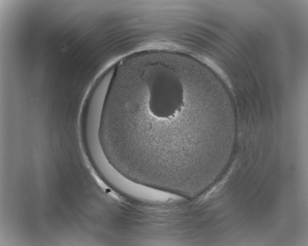 X0000075921037200609291819