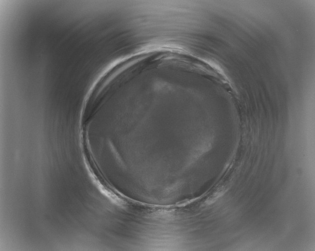 X0000075921038200609291819