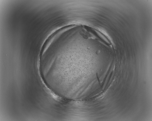 X0000075921040200609291819