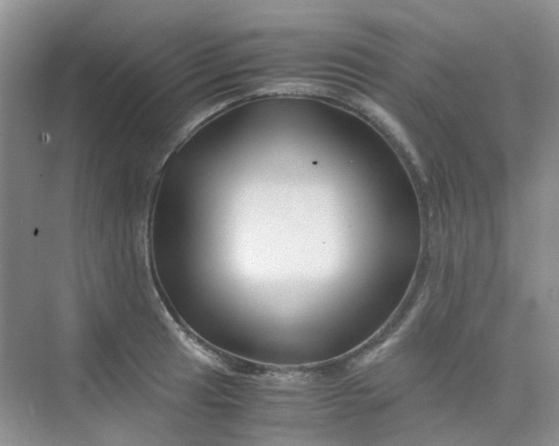 X0000075921041200609291819