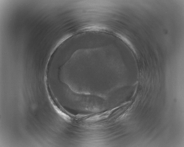 X0000075921042200609291819