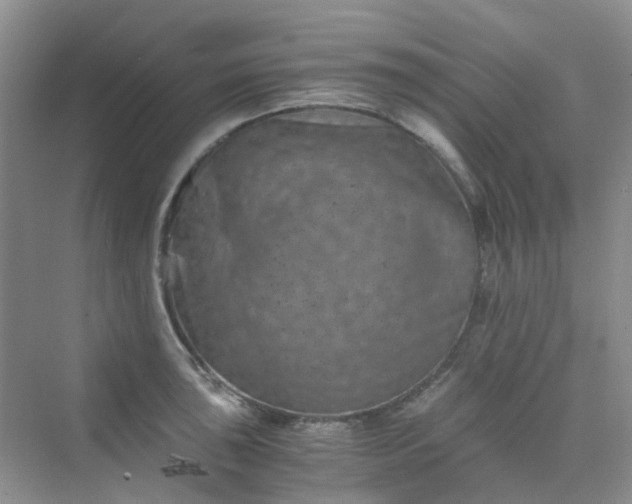 X0000075921043200609291819