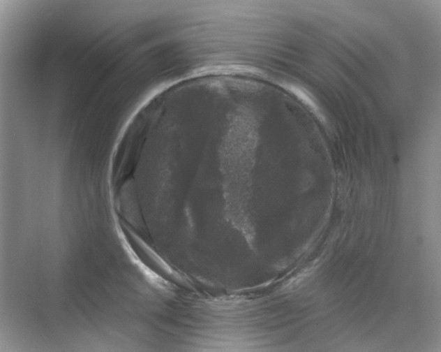 X0000075921046200609291819