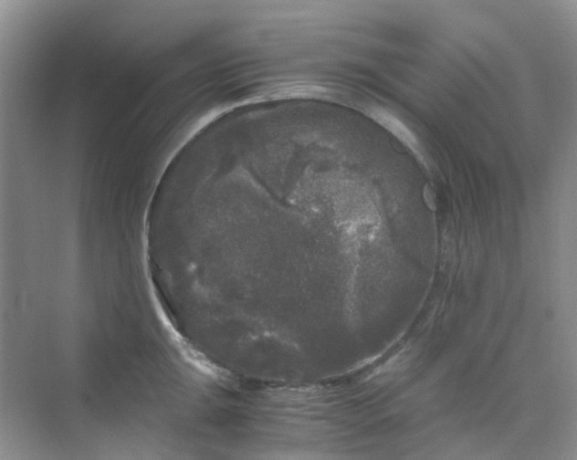 X0000075921047200609291819