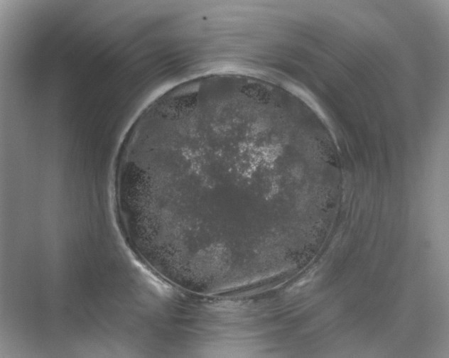 X0000075921048200609291819