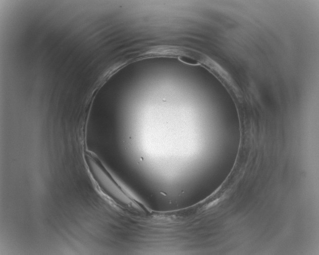 X0000075921049200609291819