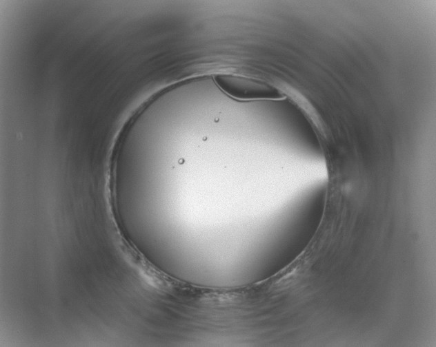 X0000075921051200609291819