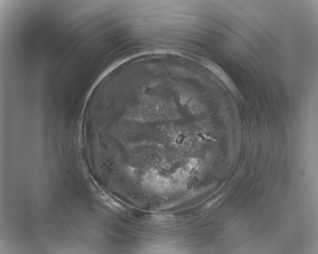 X0000075921052200609291819