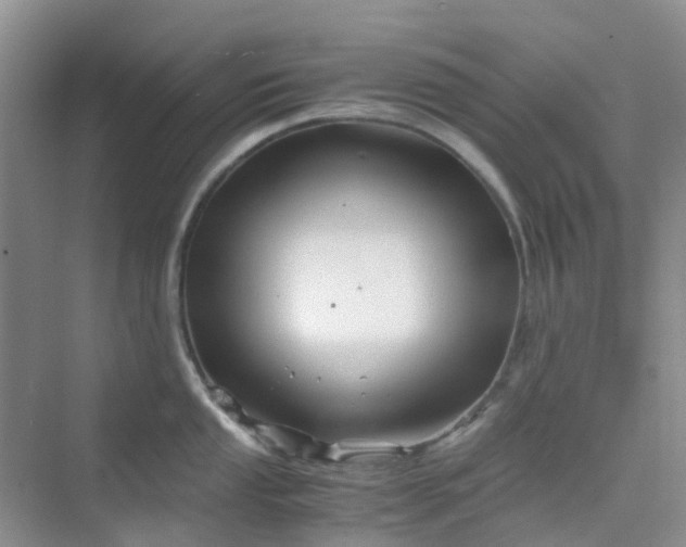 X0000075921053200609291819