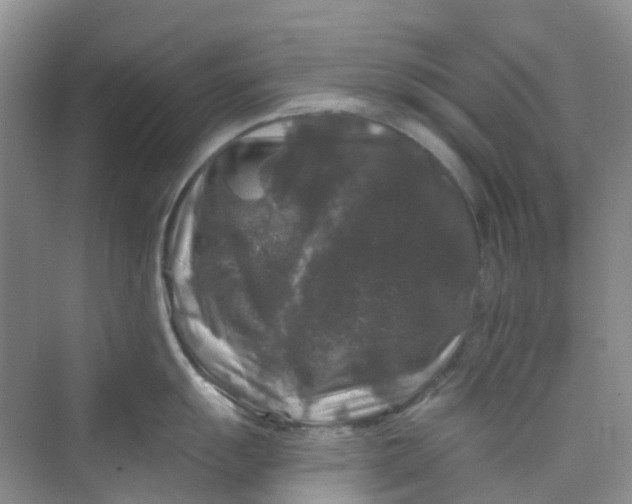 X0000075921055200609291819