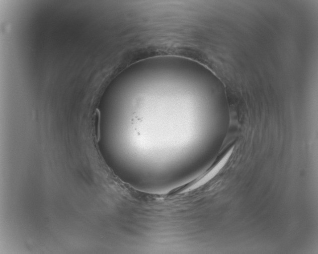 X0000075921057200609291819